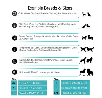 Handmade Friendship Bracelet & Collar 🐾